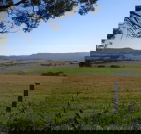 Milton Village Showground Markets - Accommodation Directory