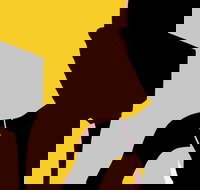 Naked Classics Fantastic Symphonies