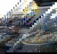 Narrabri Show - Accommodation Directory