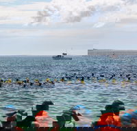 Nowra Toyota triHusky Huskisson Triathlon Festival Little Husky - Accommodation Directory