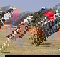 Pride of the West Races 2020 - Accommodation Directory