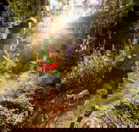 Run Dungog - Accommodation Directory