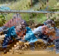Suck It Up Buttercup Vikings Obstacle Course - Accommodation Directory
