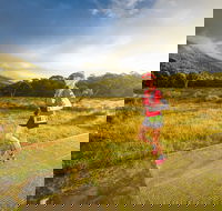 Trail Run Australia  Snowy Mountains - Accommodation Directory