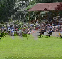 Tumut Derby Day - Accommodation Directory