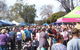 Violet Town Market - thumb 0