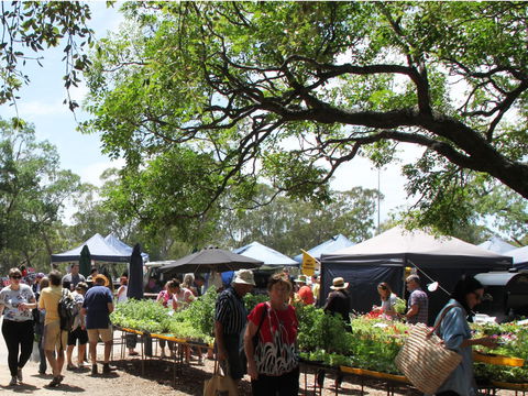 Violet Town Market - Accommodation Directory 2
