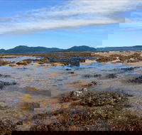 Walk to the Reef - Accommodation Directory