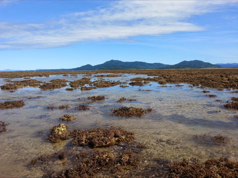 Walk To The Reef - Accommodation Directory 0