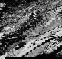 War on our shores - Accommodation Directory