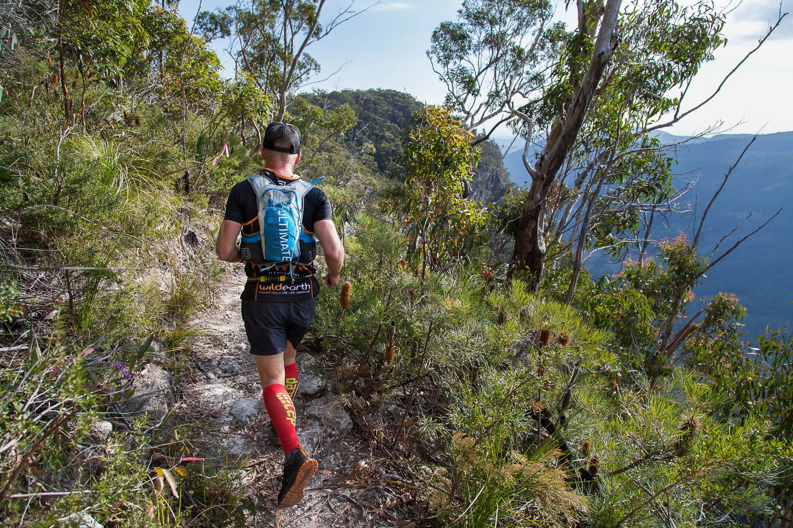 Springbrook QLD Accommodation Directory