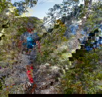 Wild Earth Coastal High 50 - Accommodation Directory