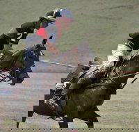 Wirragulla Annual Polo Tournament - Accommodation Directory