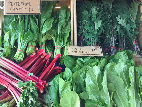 Albury Wodonga Farmers Market - Accommodation Directory 0