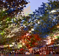 Alice Springs Town Council Night Markets - Accommodation Directory