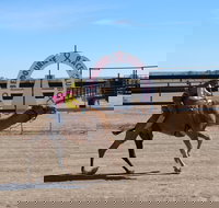 Bedourie Camel and Pig Races and Camp oven Cook-off - Accommodation Directory