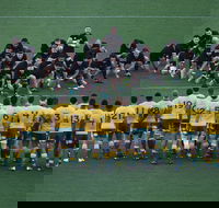 Bledisloe Cup Qantas Wallabies versus All Blacks - Accommodation Directory