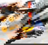 Brewing for Beginners - Accommodation Directory