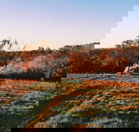 Cargo Road Wines Grande Fiamma - Accommodation Directory