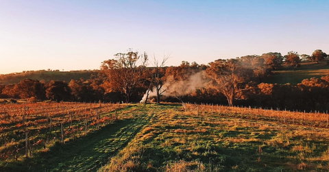 Cargo Road Wines Grande Fiamma - Accommodation Directory 0