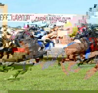 Casino Cup - Accommodation Directory