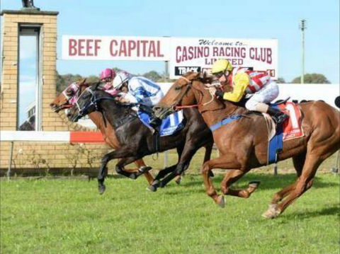Casino Cup - Accommodation Directory 0