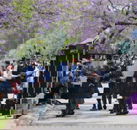 Celtic Festival of Queensland - Accommodation Directory