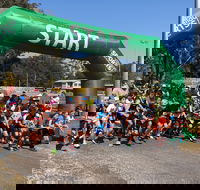 Coffs Harbour Running Festival - Accommodation Directory