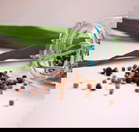 Cooking with Australian Indigenous Spices cooking class - Accommodation Directory