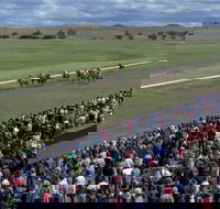 Cooma Sundowners Cup - Accommodation Directory