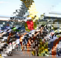 De Bortoli Wines Golden Rose Day - Accommodation Directory