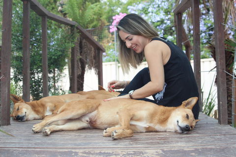 Dingo Den Discovery Experience - Accommodation Directory 0