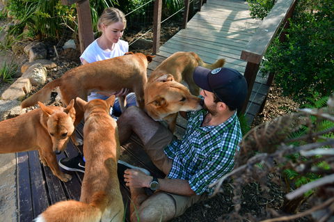 Dingo Den Discovery Experience - Accommodation Directory 1