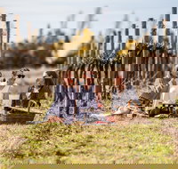 Family Picnic Weekend - Accommodation Directory