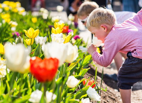 Floriade: Reimagined - Accommodation Directory 1