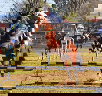 Glen Innes Pastoral and Agricultural Show - Accommodation Directory