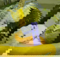 Goulburn Show - Accommodation Directory