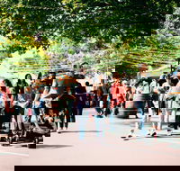 Hahndorf Christkindlmarkt - Accommodation Directory