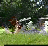 High Country Writers Festival - Accommodation Directory