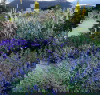 Highfield Gardens - Accommodation Directory