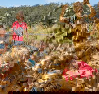 Mini Muddies Obstacle Challenge at Bunnamagoo Estate - Accommodation Directory