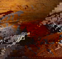 Naracoorte World Heritage Festival and Run - Accommodation Directory