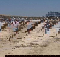 Perlubie Beach Sports Day - Accommodation Directory