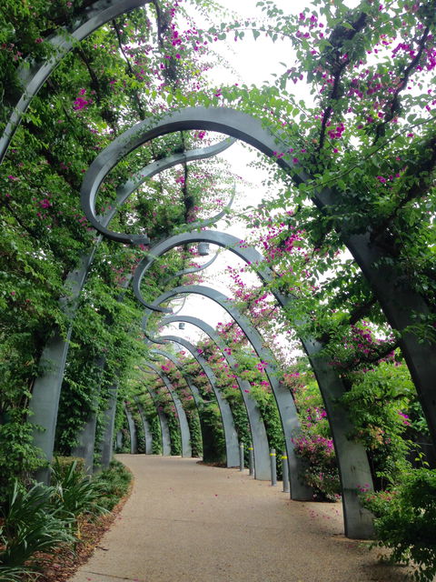 Photography Class / Tour Of Brisbane - Accommodation Directory 0