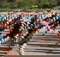 Port Stephens Triathlon Festival - Accommodation Directory