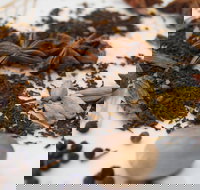 Red Hot Chilli Pepper Spice Blending Class - Accommodation Directory