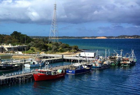 San Remo Fishing Festival - Accommodation Directory 2