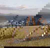 Sculpture Bermagui - Accommodation Directory