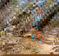 Shimano Mountain Bike Grand Prix Race Six Kempsey - Accommodation Directory