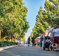 Springfield Markets - Accommodation Directory